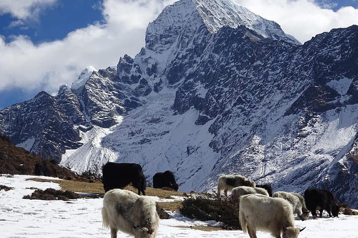 View from Everest View Hotel