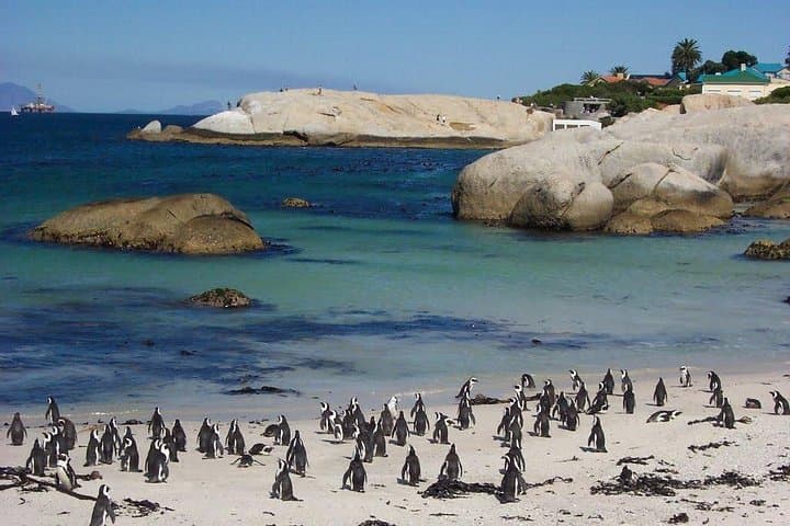 Cape Town 3-Days Attraction Tours: Helicopter Tour - Wine Tasting - Cape Point