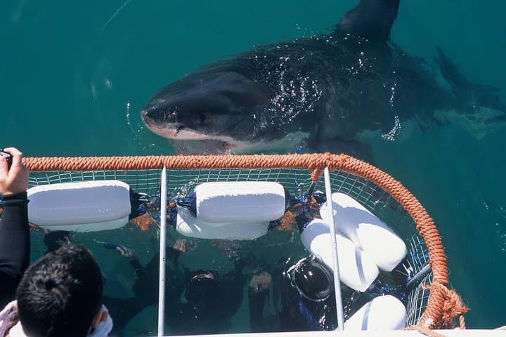 3-Day Attraction Tour: Helicopter & Cape Peninsula & Wine Tasting