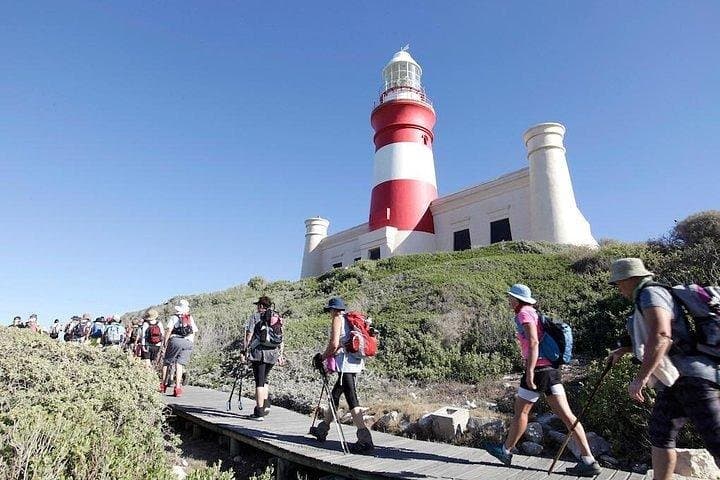 Best of cape 3-Day attraction tour:Arme helicopter &Cape Peninsula& Wine Tasting