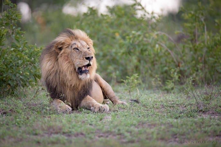 6-Day South Africa Honeymoon Tours-Cape Town&Johannesburg&Durban