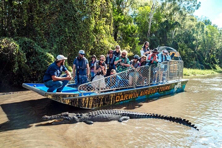 Wild Crocodile encounters