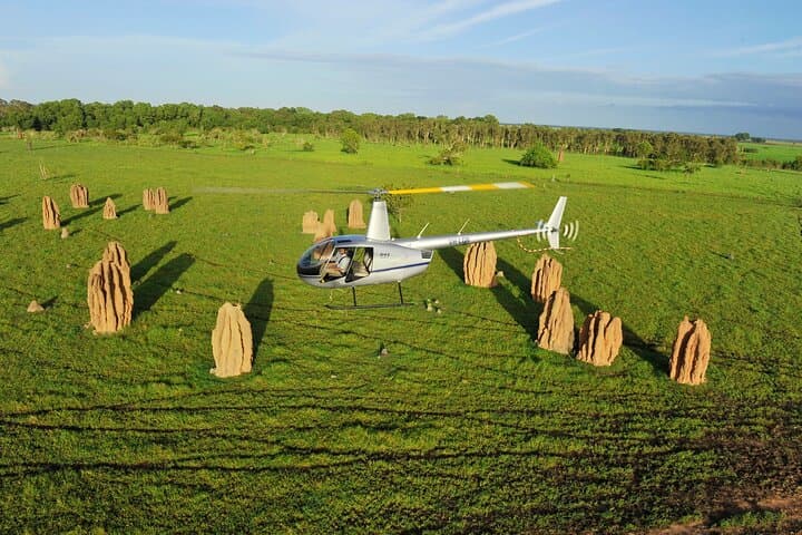 Land between a field of Cathedral termite mounds