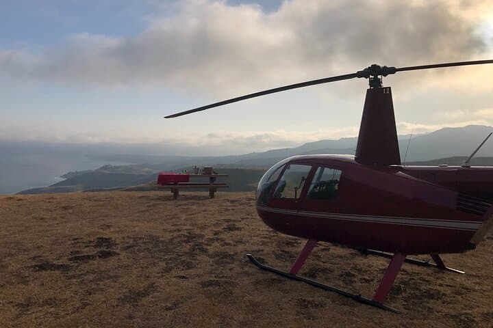 Summer's Day in Malibu