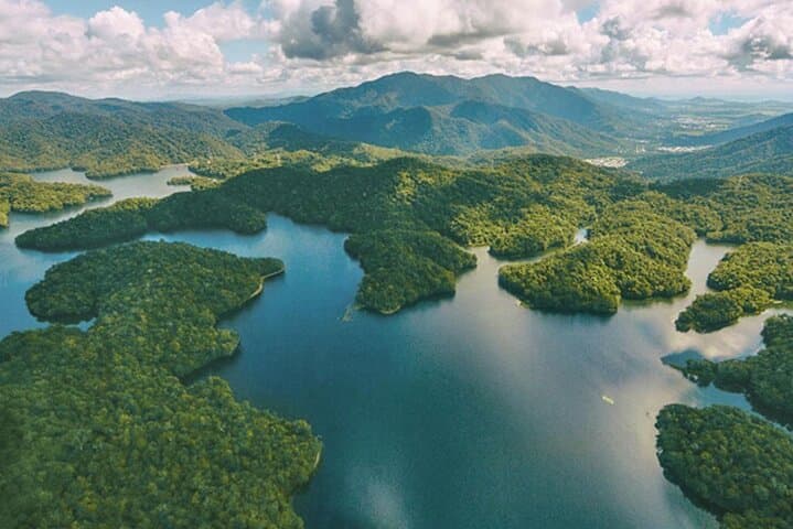30 minute Rainforest Scenic Flight