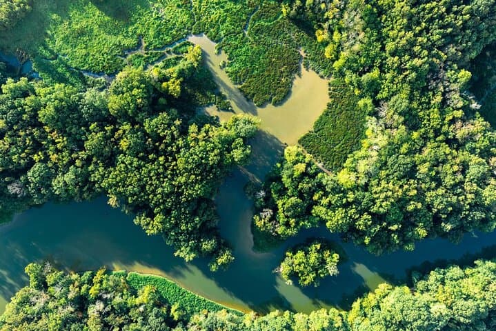 30 minute Rainforest Scenic Flight