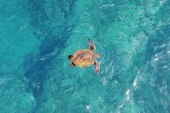 30 minute Reef Scenic Flight