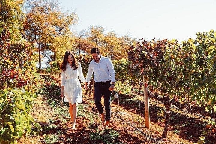 Delaire Graff Wine Estate