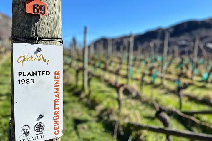 Scenic Helicopter Flight, Mountain Landing & Wine Tour Queenstown