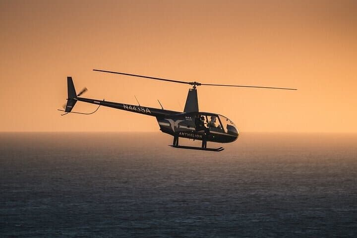 Private Helicopter Tour of Hollywood Sign, Beaches and More