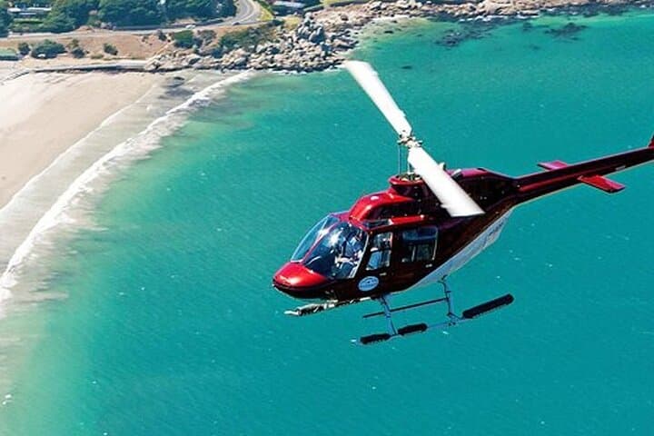 Full Peninsula Cape Point Shared Helicopter 48 minutes Day Tour