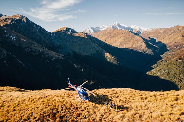 Alpine Landing