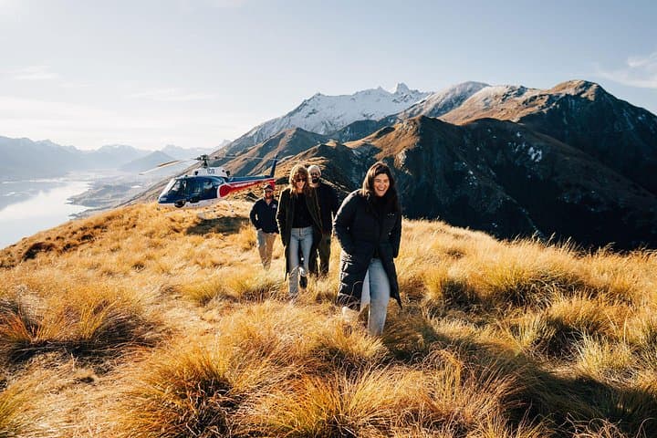 Explore the alpine environment
