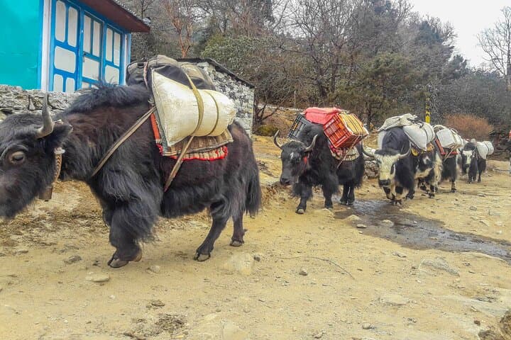 Everest Base Camp Trek with Helicopter Flight Back
