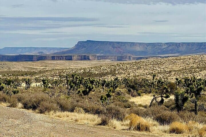 Grand Canyon Helicopter and Ranch Adventure by Luxury Vehicle