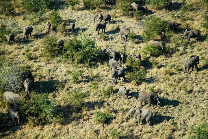 Flight of Angels & Victoria Falls Guided Walk