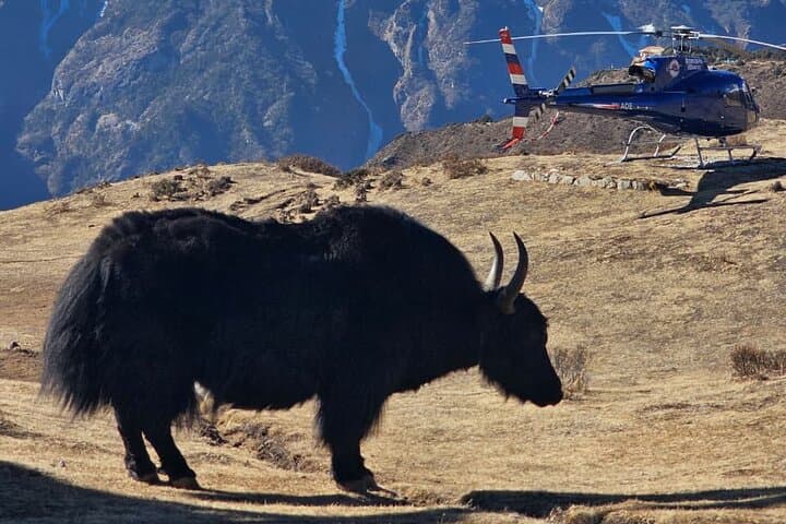 Landing Everest Base Camp Kalapathar by Helicopter with Breakfast
