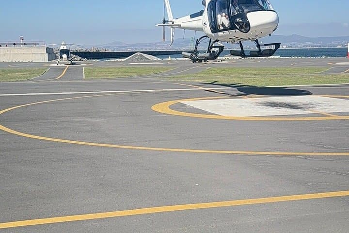 Cape Town Helicopter Tour and Boulders Beach Penguins Tour