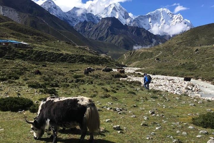 Everest helicopter tour landing flight