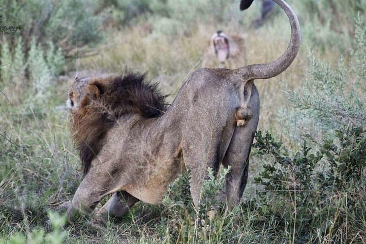6-Day South Africa Honeymoon Tours-Cape Town&Johannesburg&Durban