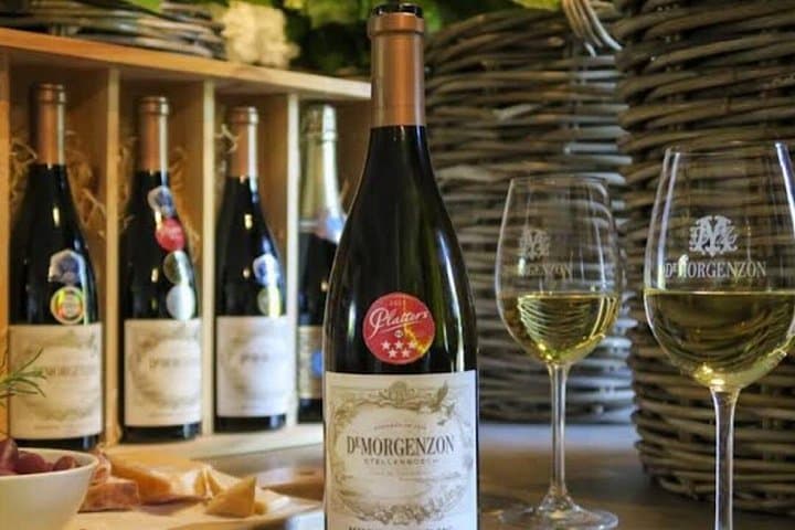 DeMorgenzon wine tasting