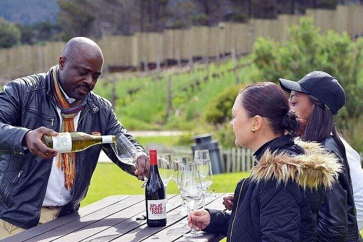 Cape Point Vineyards wine tasting