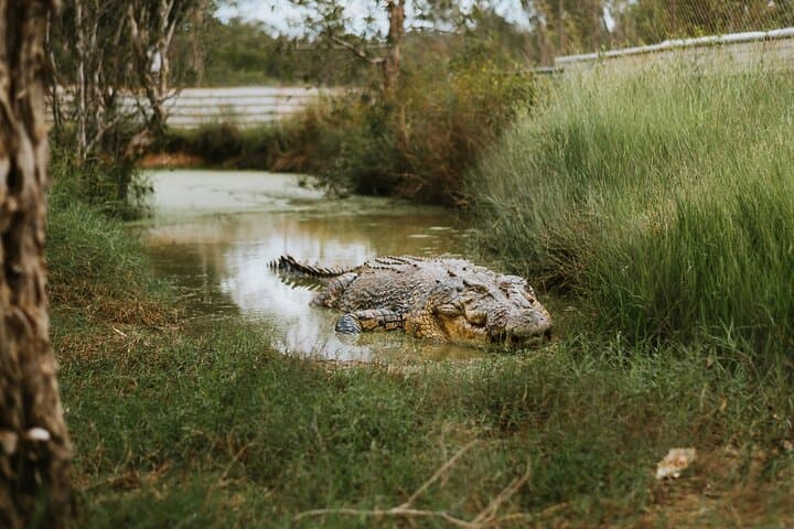 Top End Safari Camp Day Tour