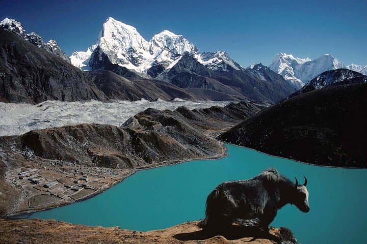 Everest Helicopter Tour