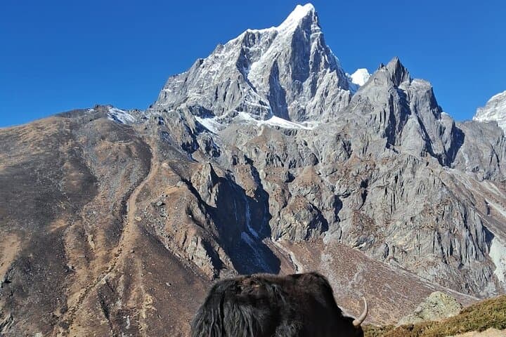 Everest Base Camp Trek with Helicopter Flight Back